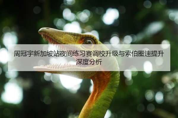 周冠宇新加坡站夜间练习赛调校升级与索伯圈速提升深度分析