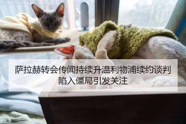 萨拉赫转会传闻持续升温利物浦续约谈判陷入僵局引发关注